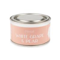 Pintail Candles White Grape & Pear Paint Pot Candle Extra Image 1 Preview